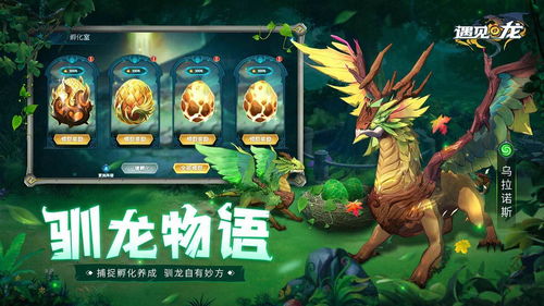 超级口红游戏攻略 VS 回合制的驯龙游戏攻略